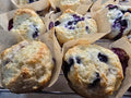 Blueberry Bagel Round - High Protein 4pack